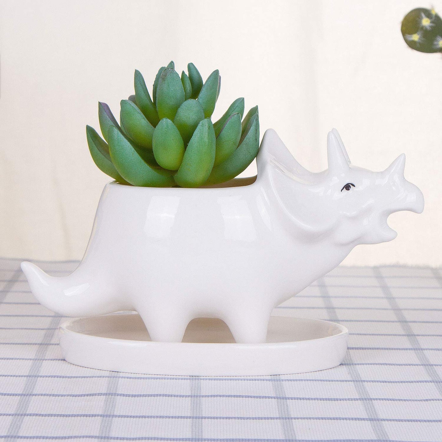 VanEnjoy Desktop Cute Cartoon White Triceratops Dinosaur Ceramic Succulent Pot with Tray, Tabletop Bonsai Cactus Flower Pot Vase Holder Decorative Organizer