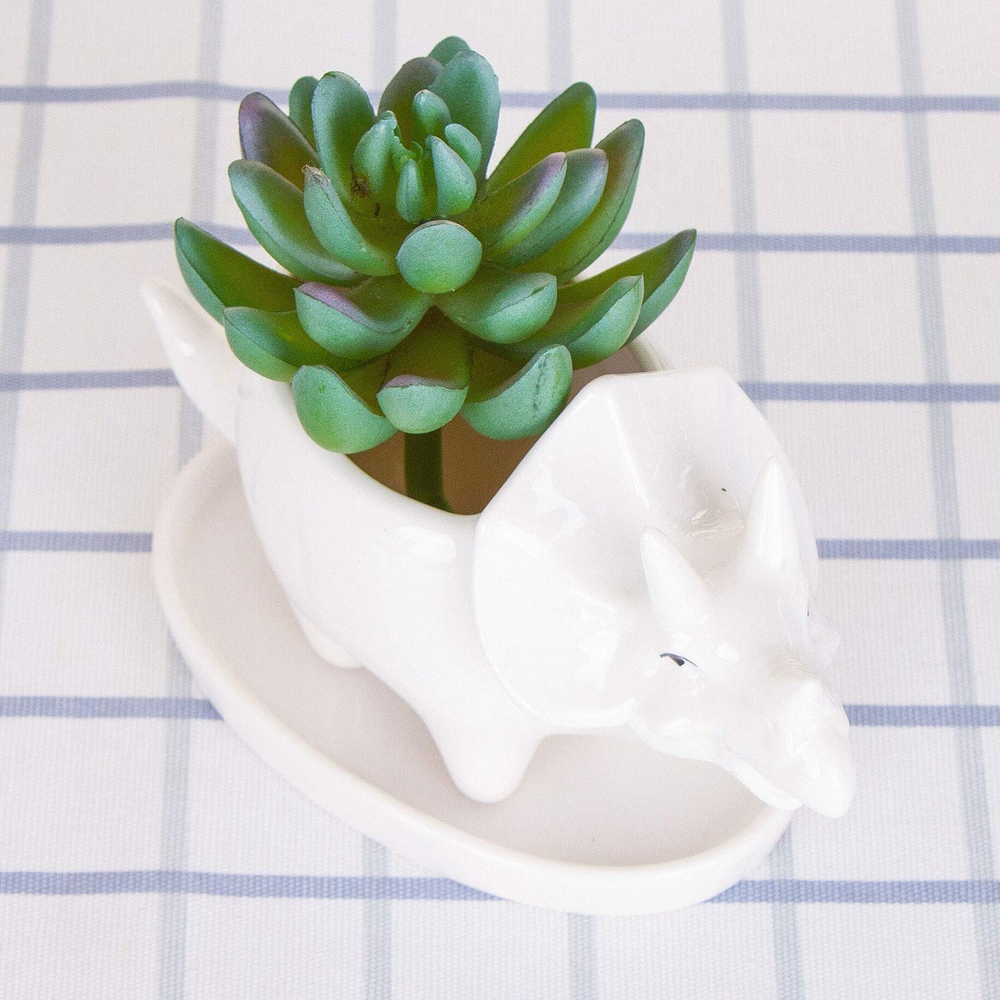 VanEnjoy Desktop Cute Cartoon White Triceratops Dinosaur Ceramic Succulent Pot with Tray, Tabletop Bonsai Cactus Flower Pot Vase Holder Decorative Organizer