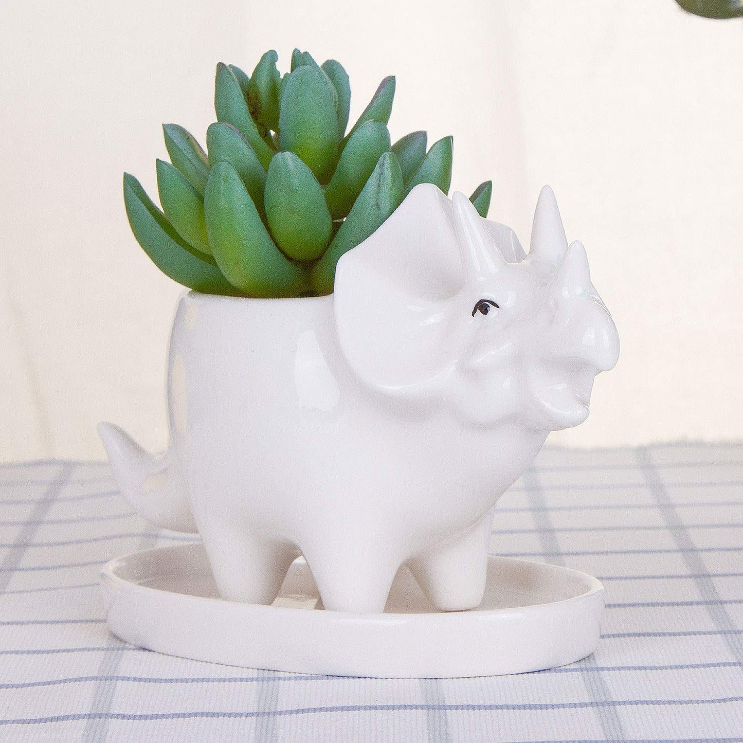 VanEnjoy Desktop Cute Cartoon White Triceratops Dinosaur Ceramic Succulent Pot with Tray, Tabletop Bonsai Cactus Flower Pot Vase Holder Decorative Organizer