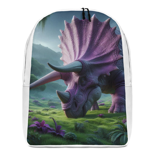 Minimalist Backpack